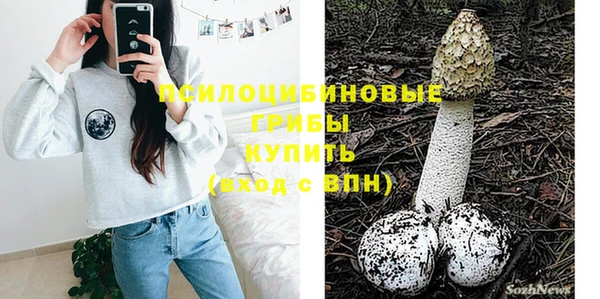 тгк Абинск