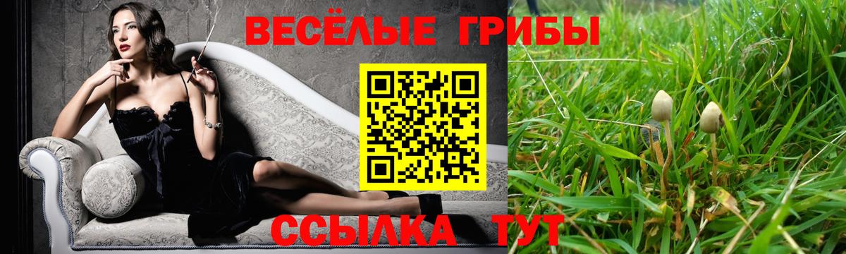 Галлюциногенные грибы прущие грибы Мурино