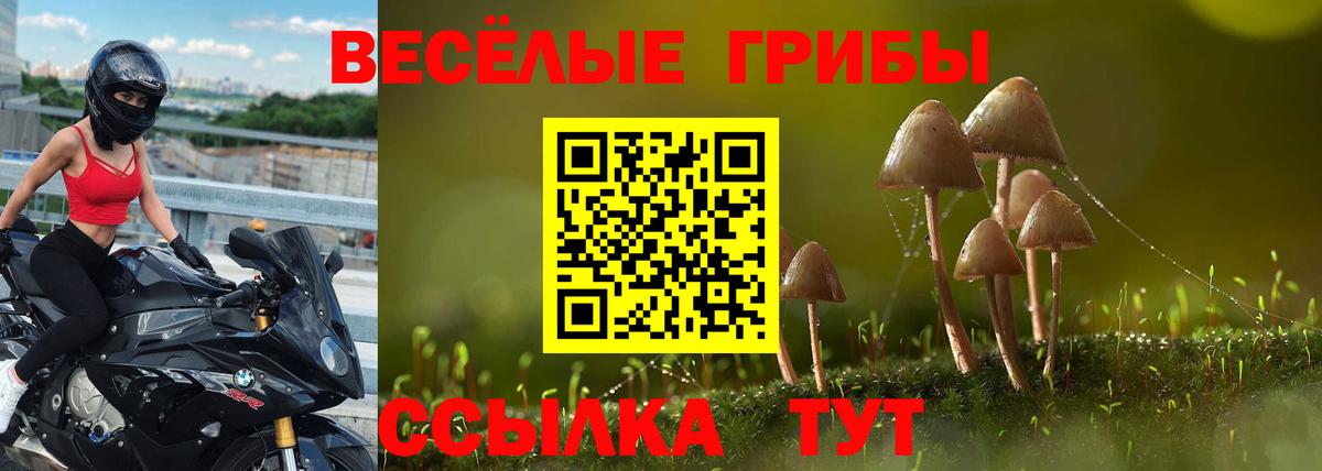 Галлюциногенные грибы Psilocybe  Вход с VPN  купить   Мурино  Галлюциногенные грибы Magic Shrooms 